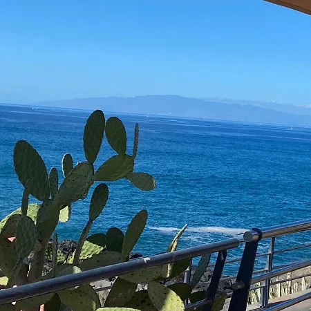 Flores 2 بلايا ذي لاس أميريكاس