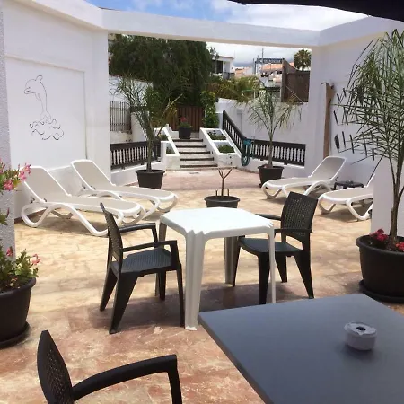 Flores 2 플라야데라스아메리카스