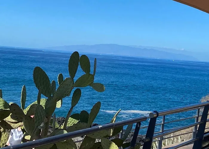 Flores 2 بلايا ذي لاس أميريكاس