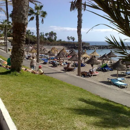 Flores 2 Playa de las Americas (Tenerife)